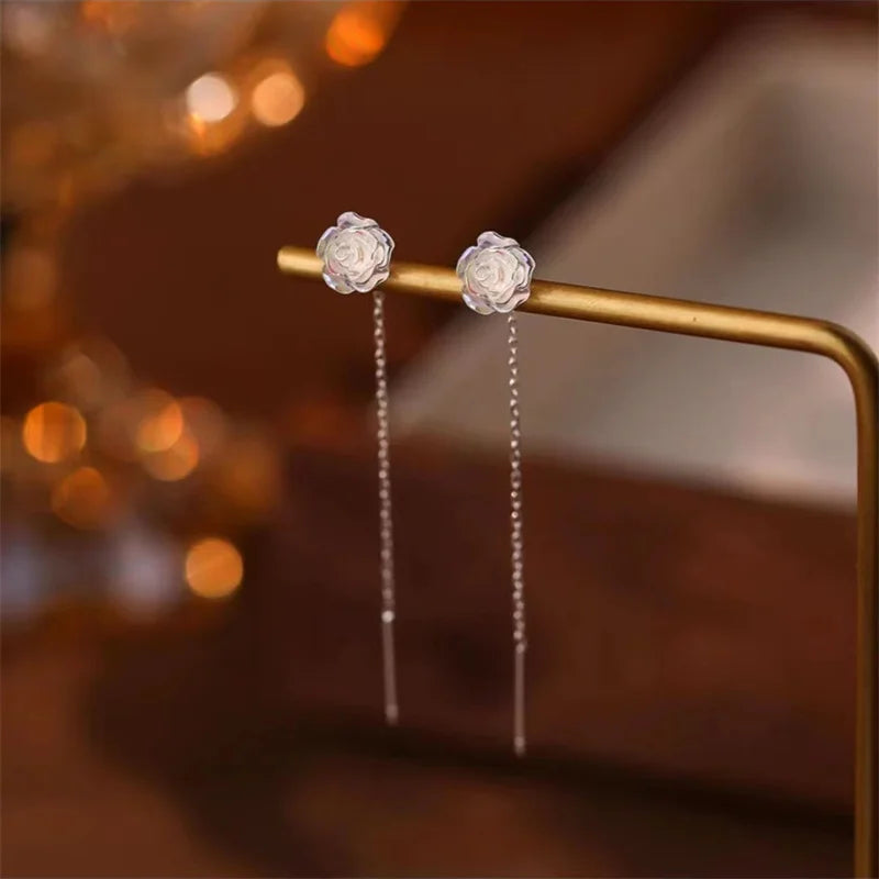 Women's Fashionable Zircon Ball Pendant Earrings